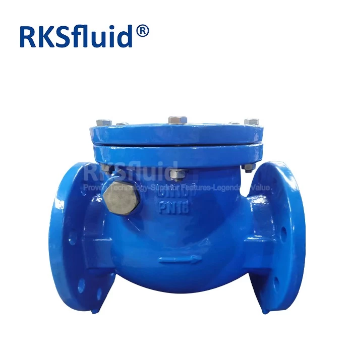 China BS5153 Ductile Iron DI CI Swing Flange Check Valve DN100 PN10 PN16 Class150 for Oil Water Gas manufacturer