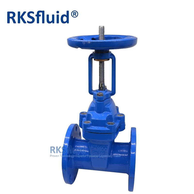 China BS5163 DN100 ductile iron rising stem resilient seated flange gate valve PN10 with factory prices manufacturer