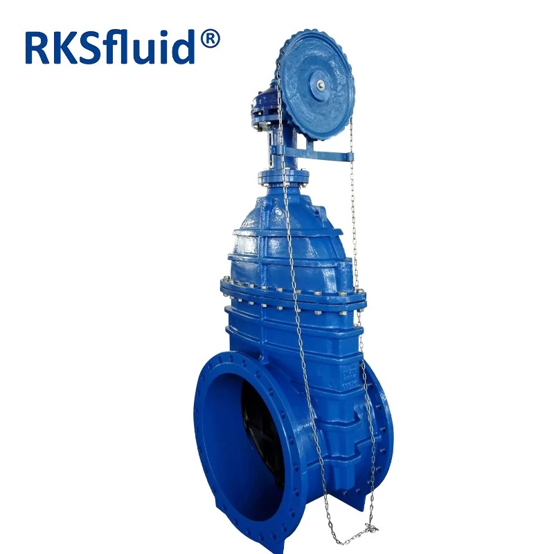 China BS5163 DN700 Big Size Non-Rising Stem Resilient Wedge Gate Valve Pn10/16/25 with Chain Wheel manufacturer
