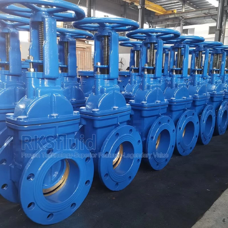 China CE 6 inch Rising stem DI CI ductile iron flange 300mm gate valve with prices manufacturer