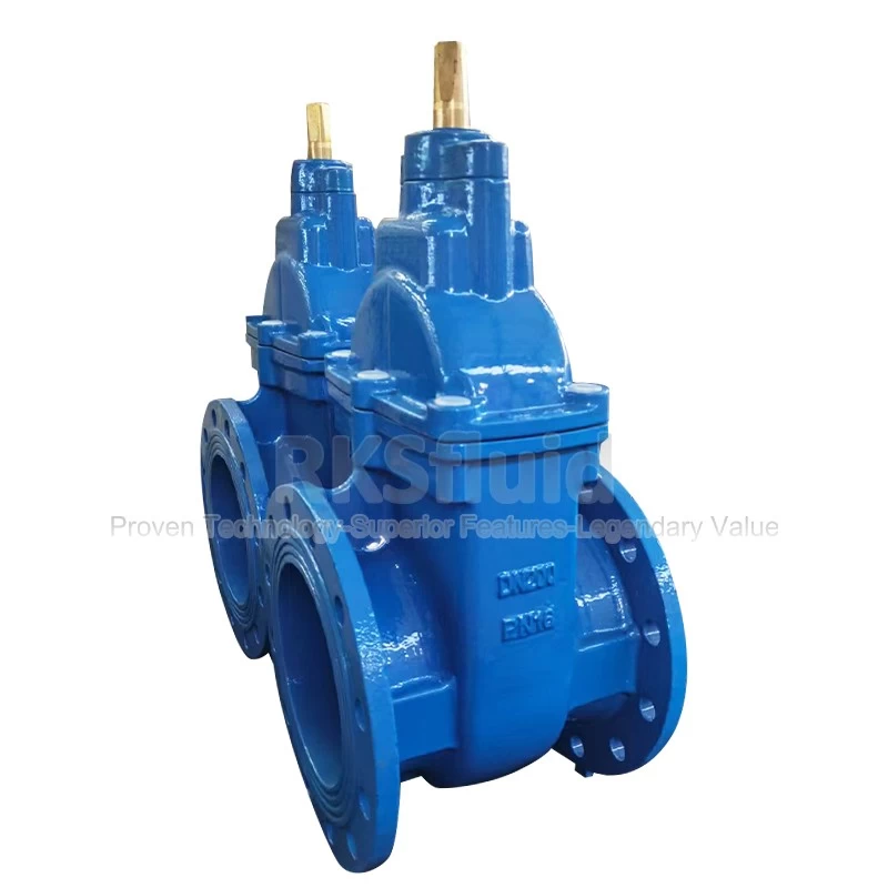 China China Manufacturer RKSfluid Brand Oil Equipment Ductile Iron BS5163 Metal Seated Gate Valve PN16 8 Inch Price manufacturer