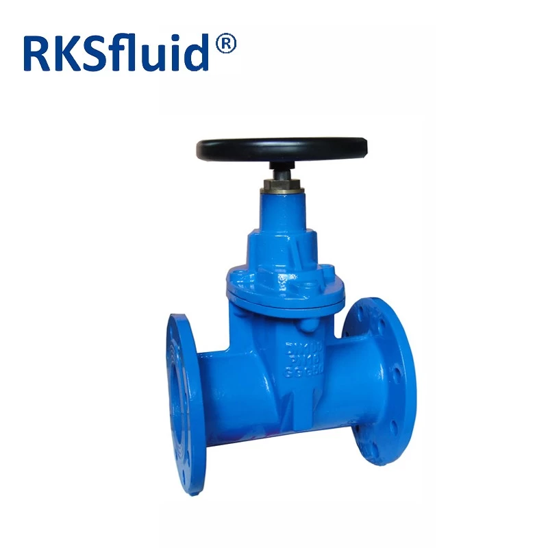 China China factory gate valve Manufacture BS 5163 DN100 PN16 GGG50 epdm seated Ductile iron flange resilient seated gate valve customized manufacturer