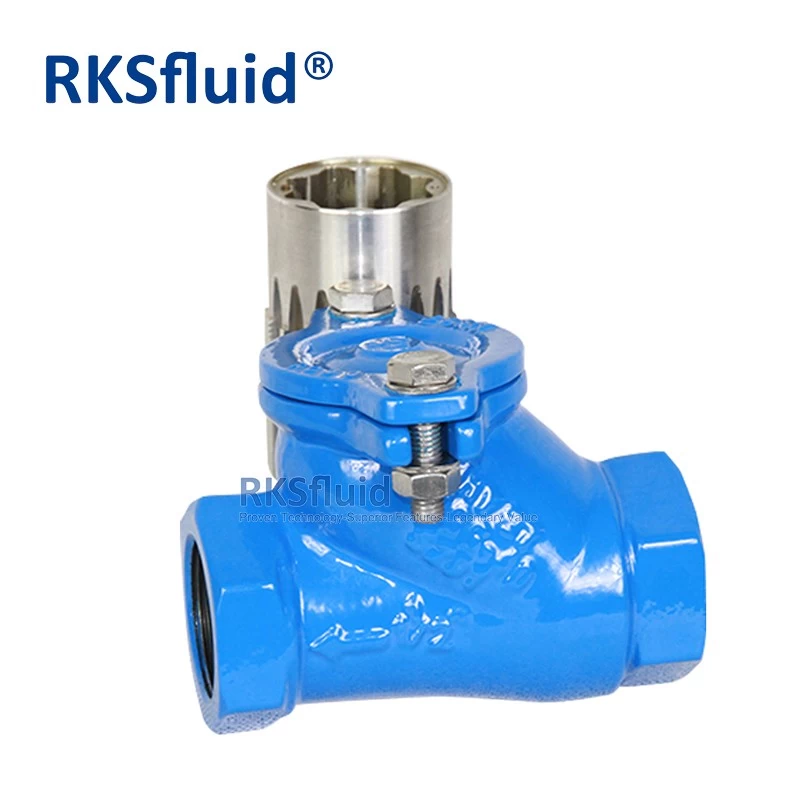 China Chinese check valve manufacturers DI threaded ball check valve dn65 dn200 for sewage manufacturer