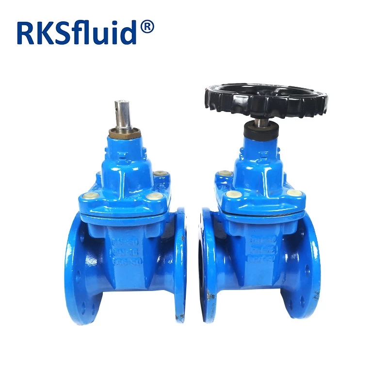 China Factory direct gate valve PN10/16 dn80 dn100 non-rising stem resilient soft seal flange ductile iron gate valve price manufacturer