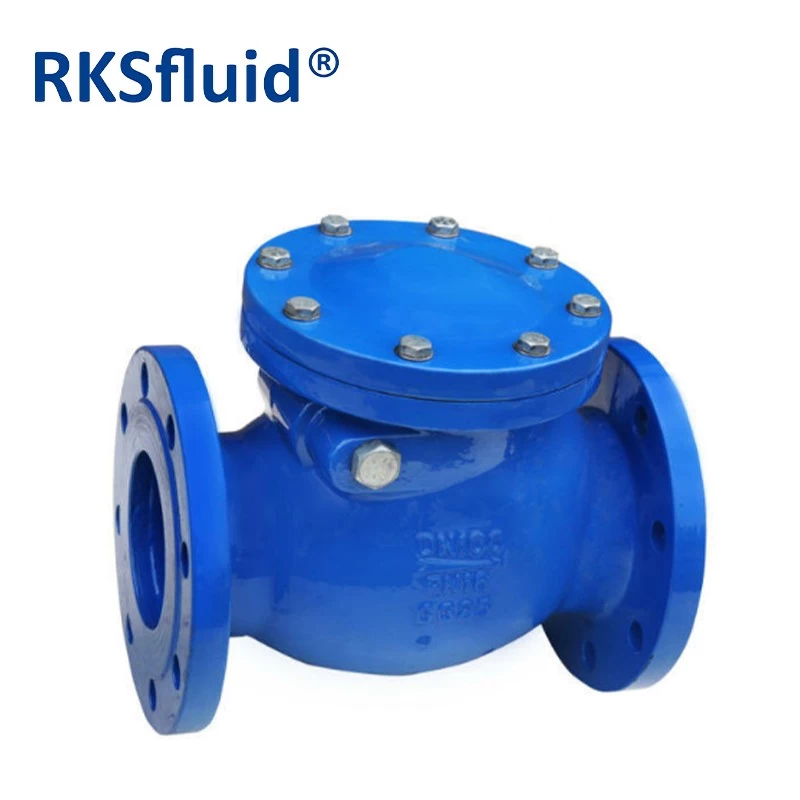 China DIN PN16 Ductile iron Resilient Sealing Swing Check Valve with Weight manufacturer