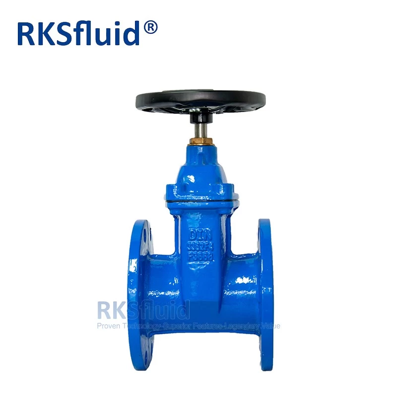 China DIN3352 F4 Cast Ductile Iron GGG50 Resilient Seat Water Pipeline Flanged Gate Valve DN100 PN16 Sluice Valve manufacturer