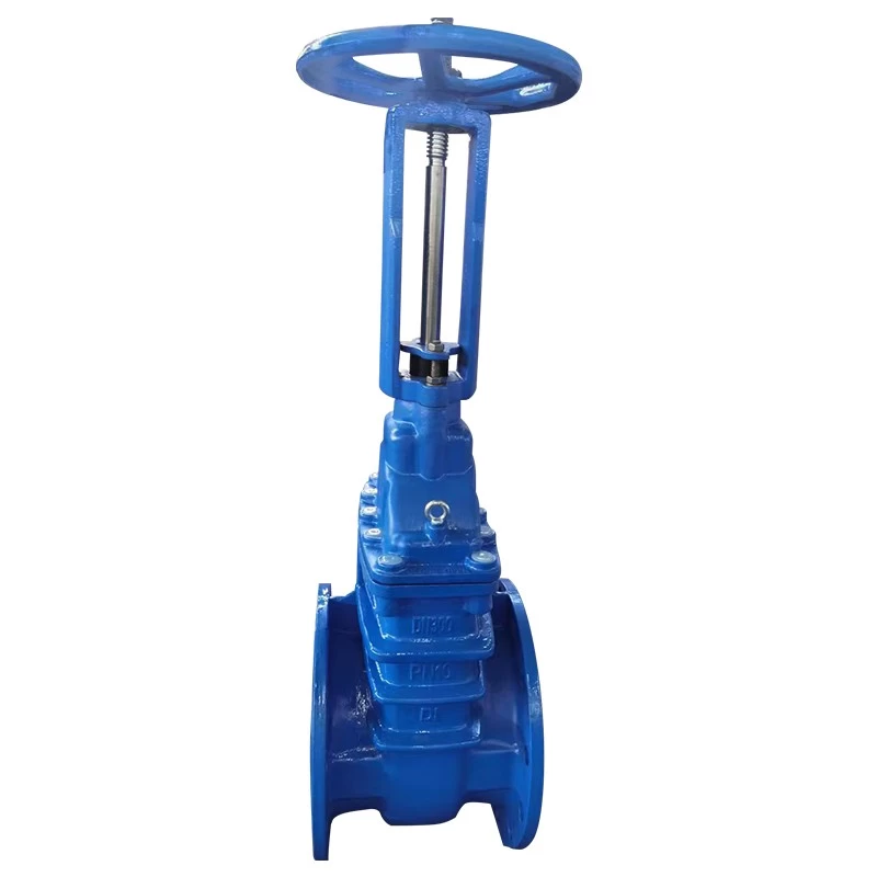 China DN150 DN300 PN10 16 Ductile iron metal seal rising stem gate valve for water oil and gas manufacturer