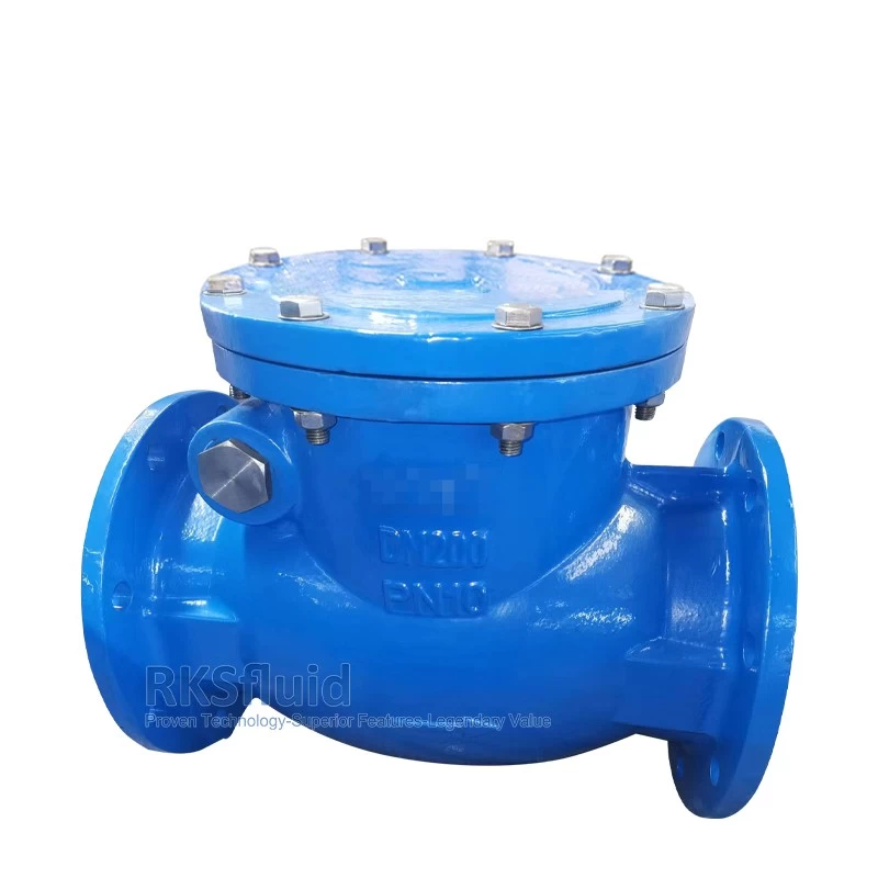 China DN3202 F6 Ductile Iron Cast lron DN200 DN250 PN10 PN16 Flange Swing Check Valve bs5153 manufacturer