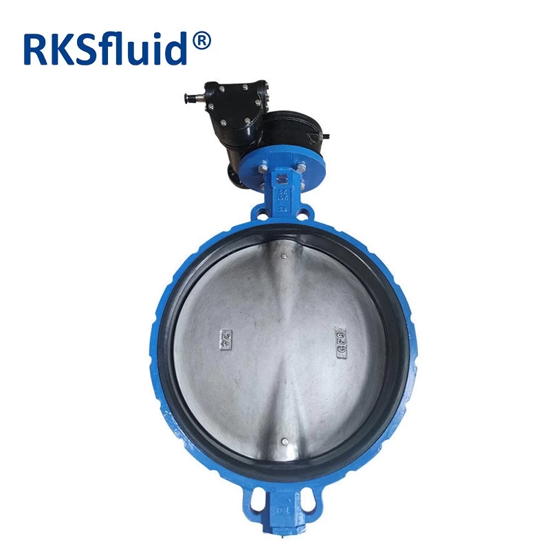 China DN600 24 Inch CI Worm Gear 10K Wafer Butterfly valve manufacturer