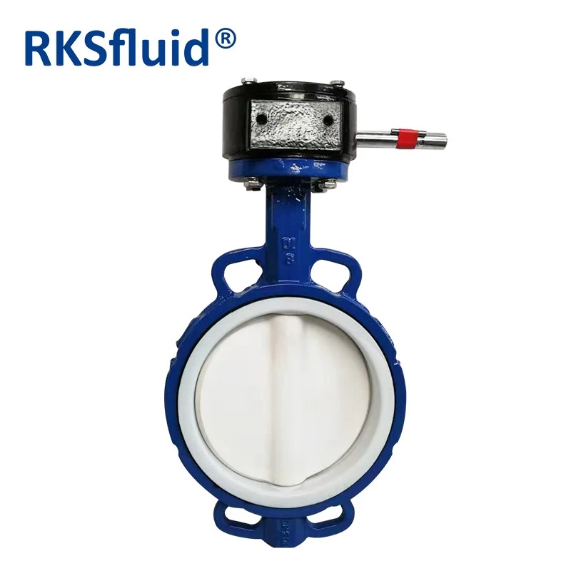 China Ductile Iron One piece type PTFE Lined wafer butterfly valve for food manufacturer