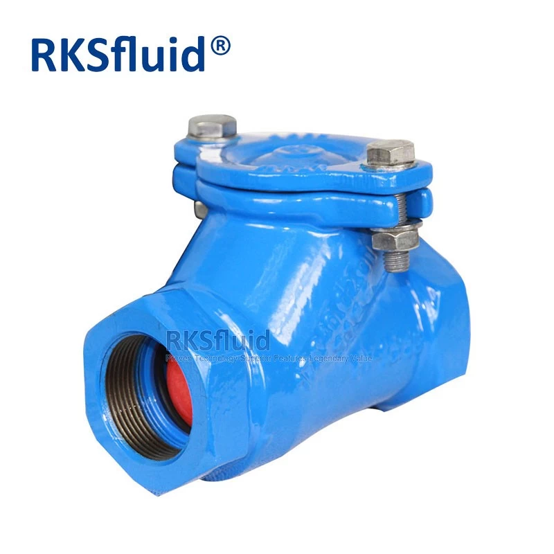 China Ductile iron non return screwed check valve dn65 threaded end ball check valve manufacturer