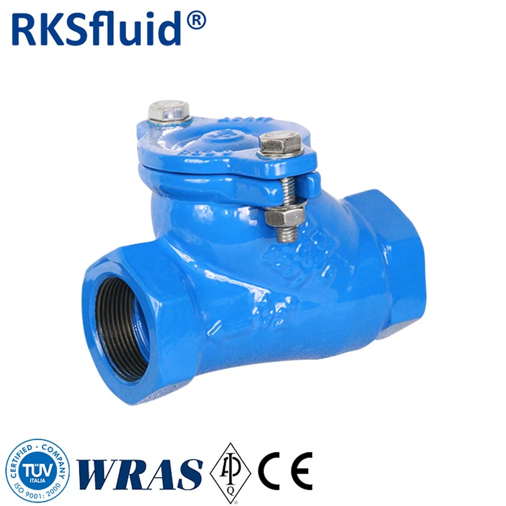 porcelana EN 1171 Válvula de retención de hilo de hierro dúctil DN50 PN16 para agua fabricante