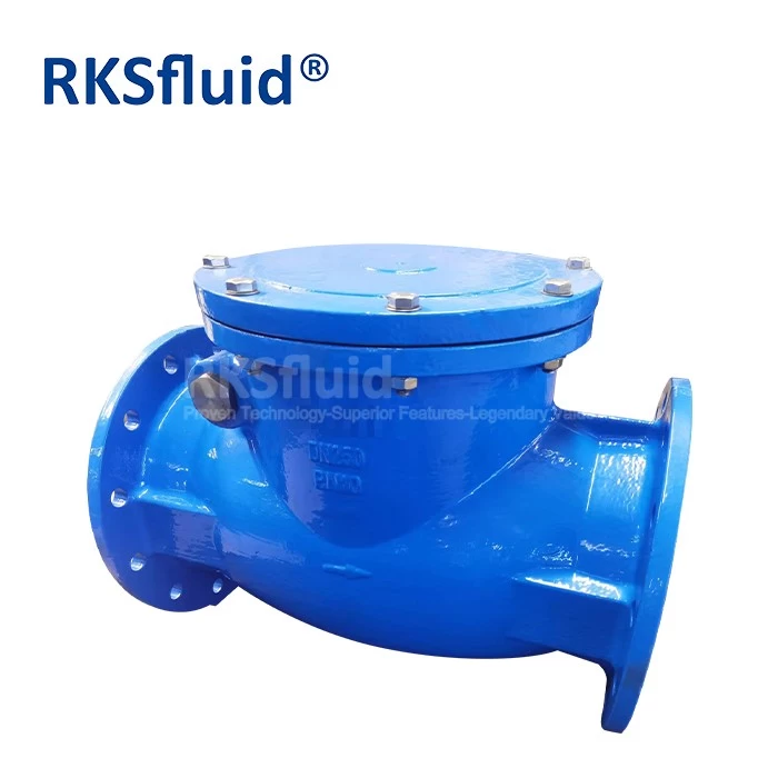 China Factory directly sell DN50-DN300 DIN 3202 F6 pn16 ductile iron water swing flanged check valve for sea water manufacturer