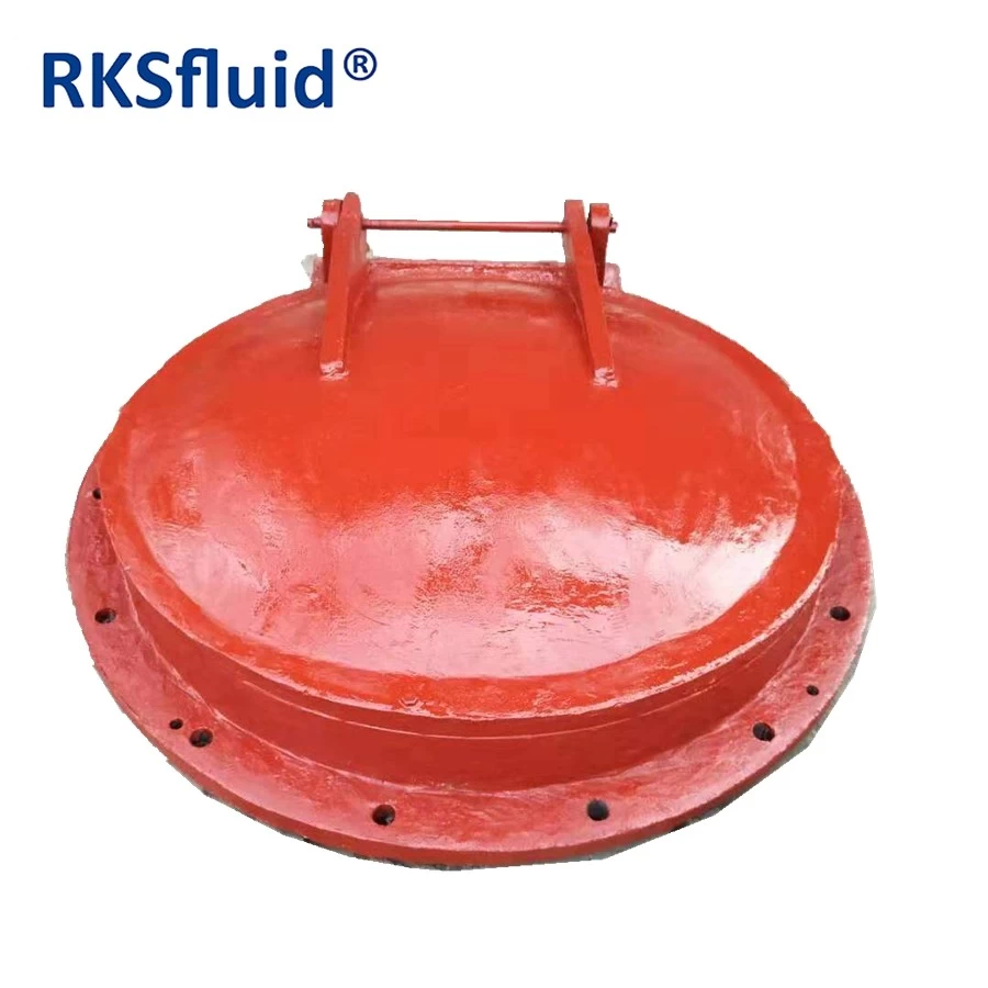 porcelana Válvula de retención de válvula de aleta de retención de hierro fundido dúctil RKS fabricante