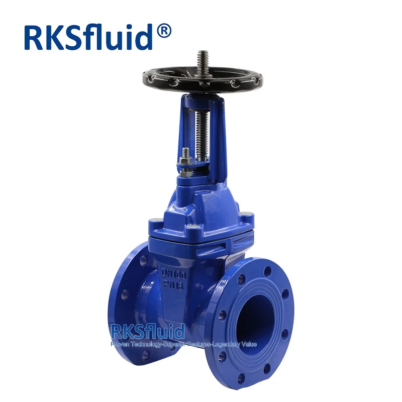 China High-Quality 200mm PN16 Ductile Iron DI Flange Type Rising Stem Gate Valve Supplier manufacturer