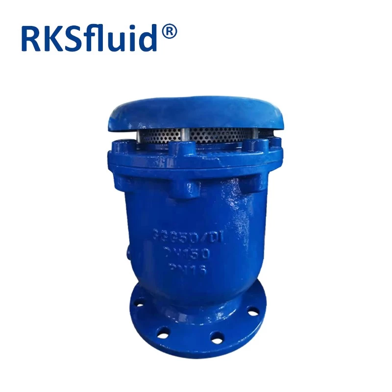 China High quality ANSI cast ductile iron flange automatic air release valve DN100 PN10 PN16 with good price manufacturer