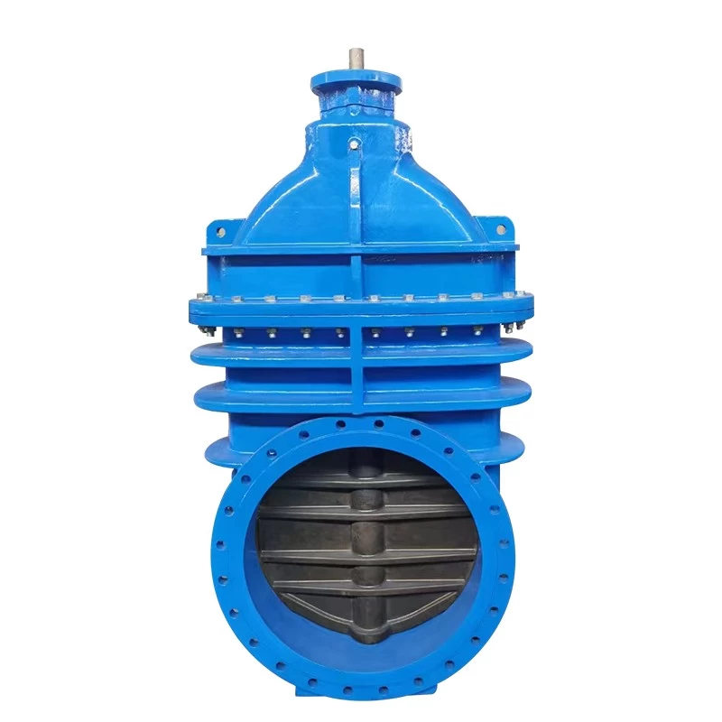 China Made in china water valve PN10 PN16 BS5163 resilient seated soft seal flange ductile iron gate valve manufacturer