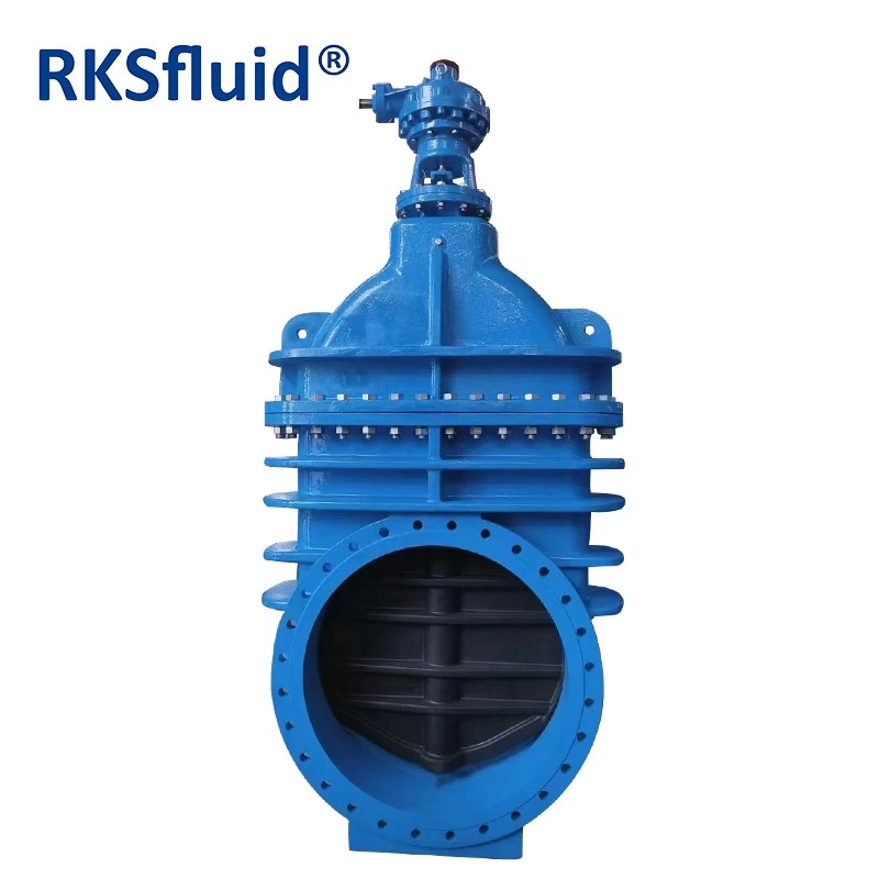 China Manufacturer water valve price BS5163 24 inch ductile cast iron AWWA resilient seated flanged gate valve 600mm manufacturer