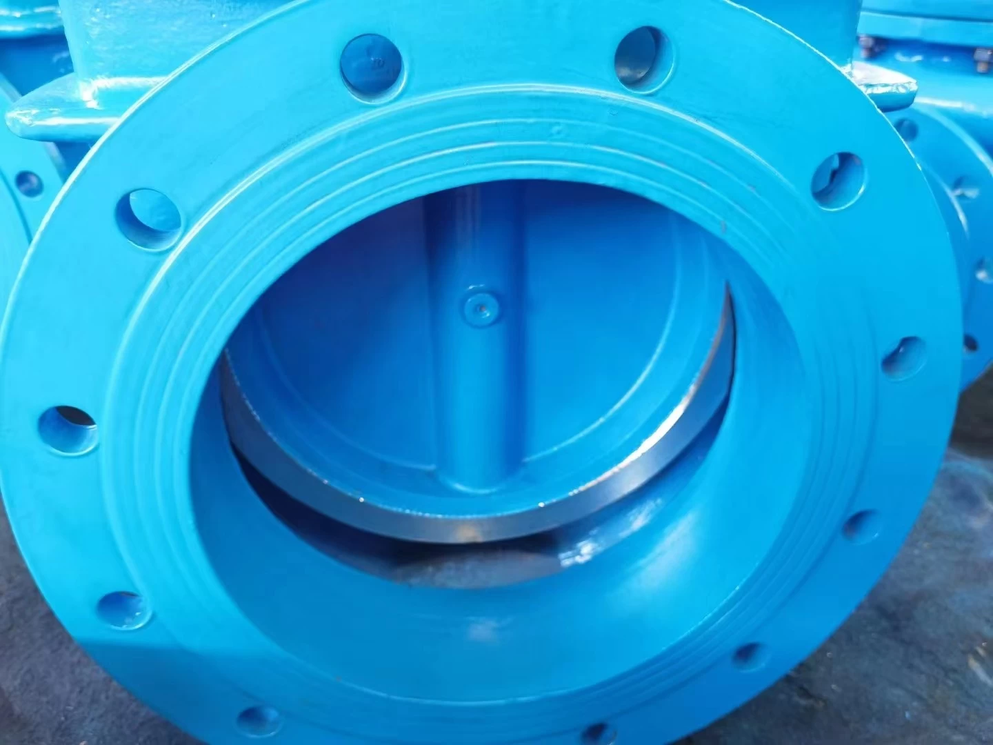 China PN10 GGG50 Válvula da porta de água BS5163 FLANGE DUCTION FERRON METAL SAPADO DN100 DN100 para tratamento de água fabricante