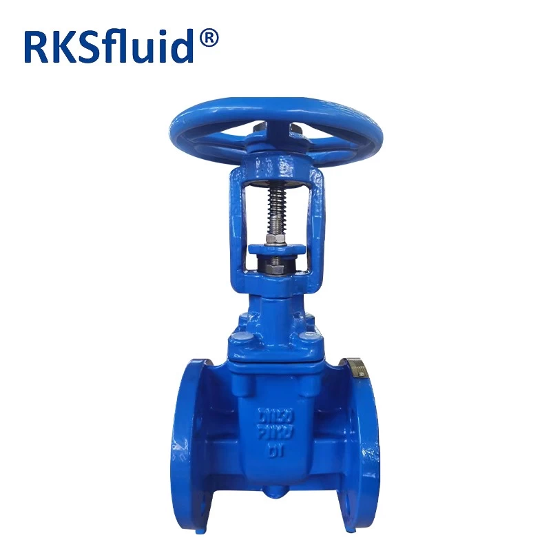 China RKSfluid 2 inch DN50 rising stem resilient seat gate valve with DI body manufacturer