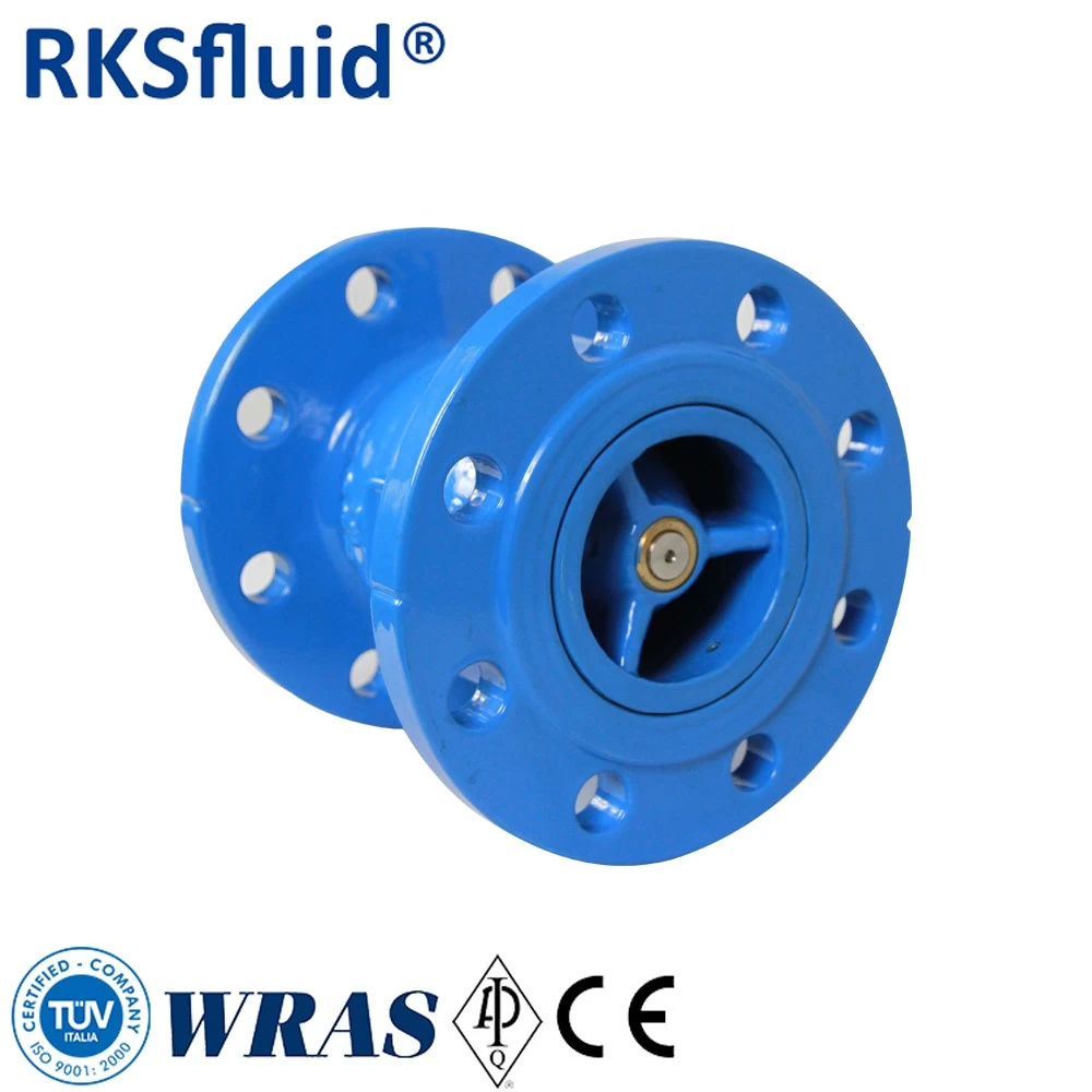 중국 RKSfluid 공장 제조 업체 DIN 3inch PN16 연성 철 조용한 플랜지 체크 밸브 가격 제조업체