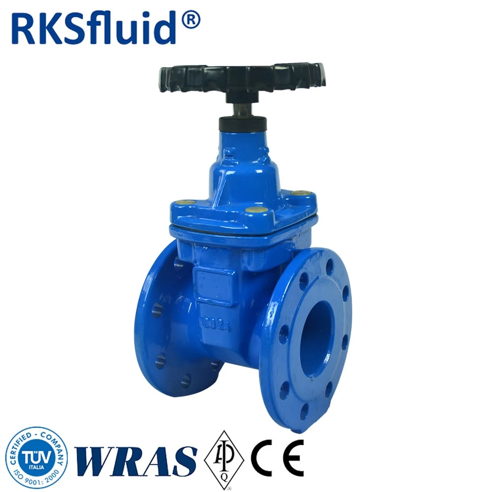 China RKSfluid PN10 DN80 ductile iron soft seal gate valve price manufacturer