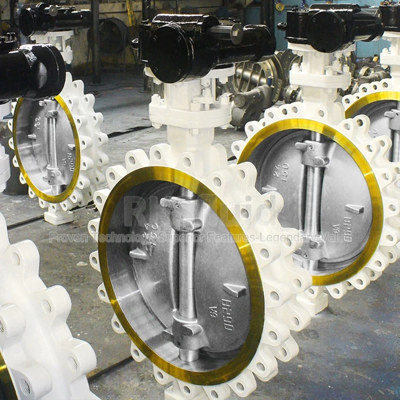 Chine RKSfluid Brand API WCB SS316 Worm Gear Type Triple Triple Excentric Butterfly Valve DN600 Class150LB fabricant