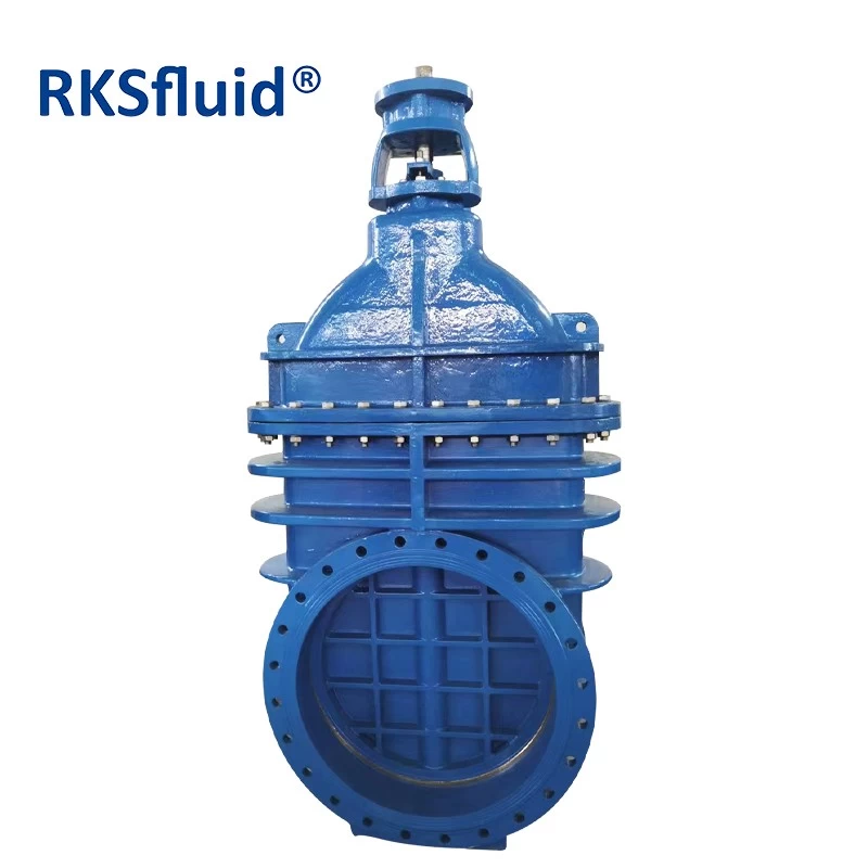 中国 RKSfluid铸铁DN800 PN10 GGG40大直径金属硬密封门阀 制造商