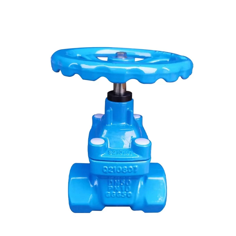 Chine RKSfluid  chinese 2" gate valve dn50 pn10 ggg50 resilient seated soft seal gate valve price fabricant