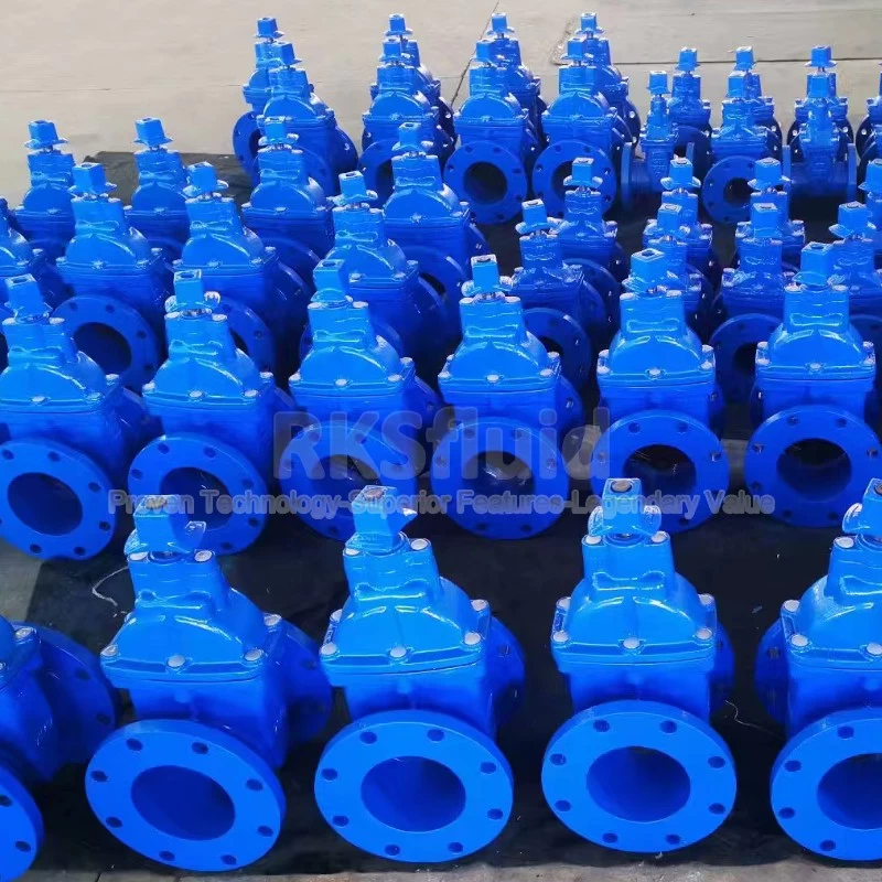 China RKSfluid chinese BS5163 gate valve cast iron metal seated gate valve for power station manufacturer