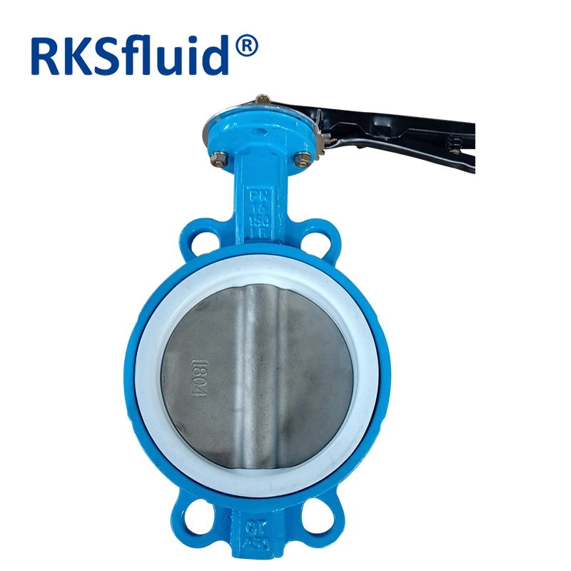 RKSfluid good quality cheap price cast iron worm gear wafer lug type PTFE fully coated butterfly valve