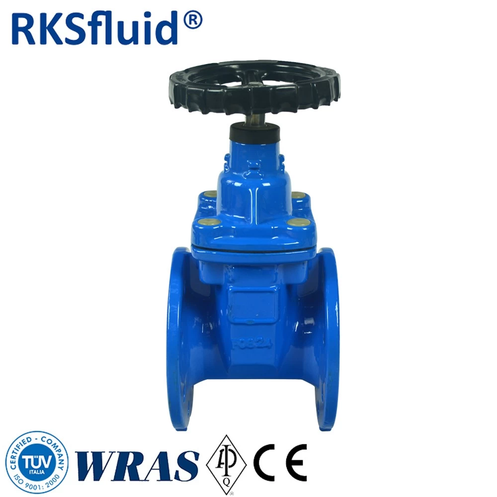 China RKSfluid soft seal resilient seated PN16 DN150 ductile cast iron gate valve price list manufacturer