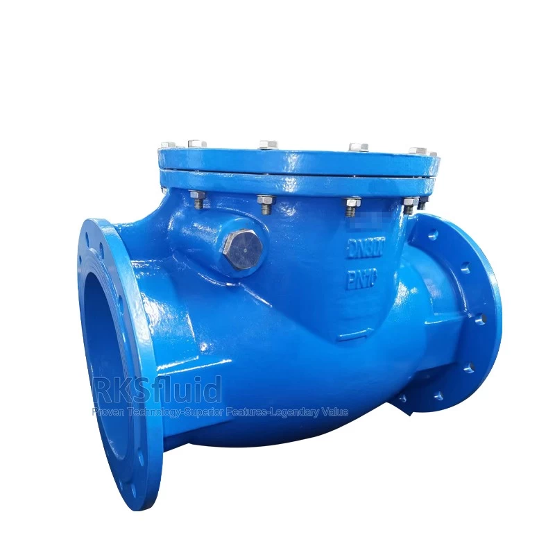 China Sewage valve DIN 3202 F6 ductile iron flange swing check valve DN300 PN10 PN16 for water treatment manufacturer