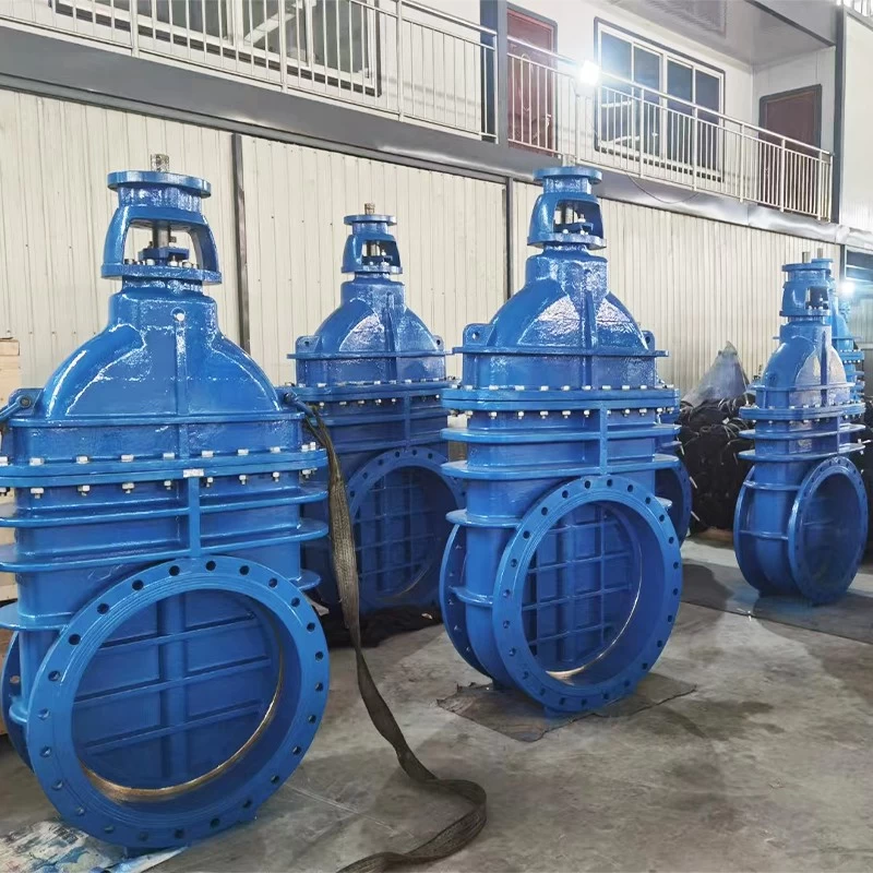 China Water treatment gate valve PN10 PN16 metal seated flange gate valve factory price customized available manufacturer