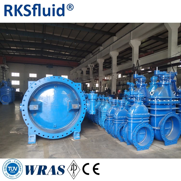 China Double eccentric large butterfly valve drawing butterfy valve manufacturer