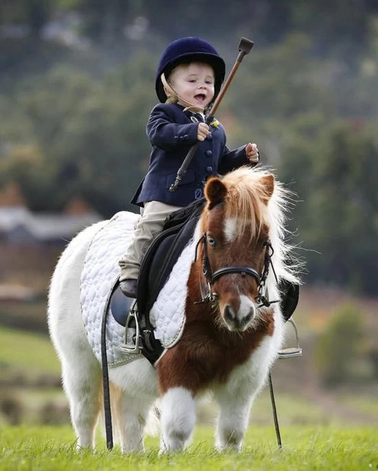 children ride horse manufacturer