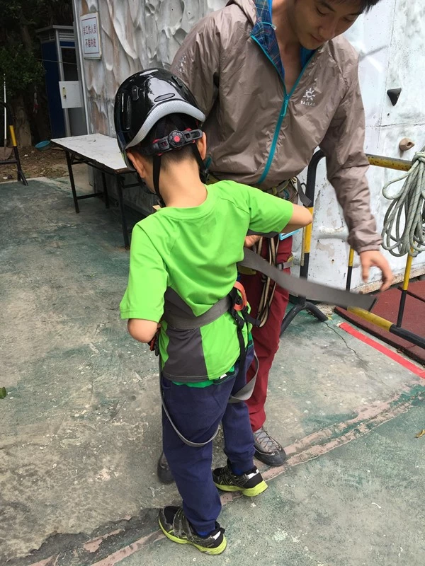 Arborist protection helmet