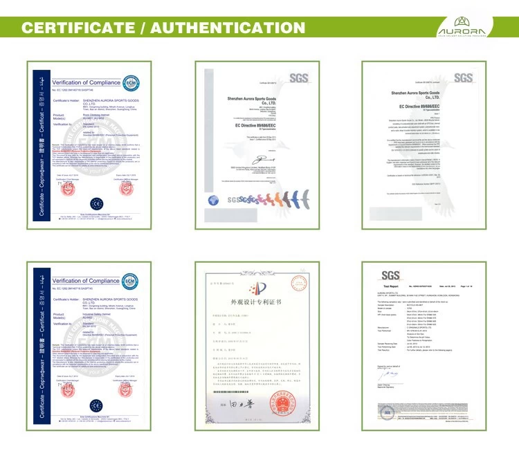 Helmet Certificate Authentication.jpg