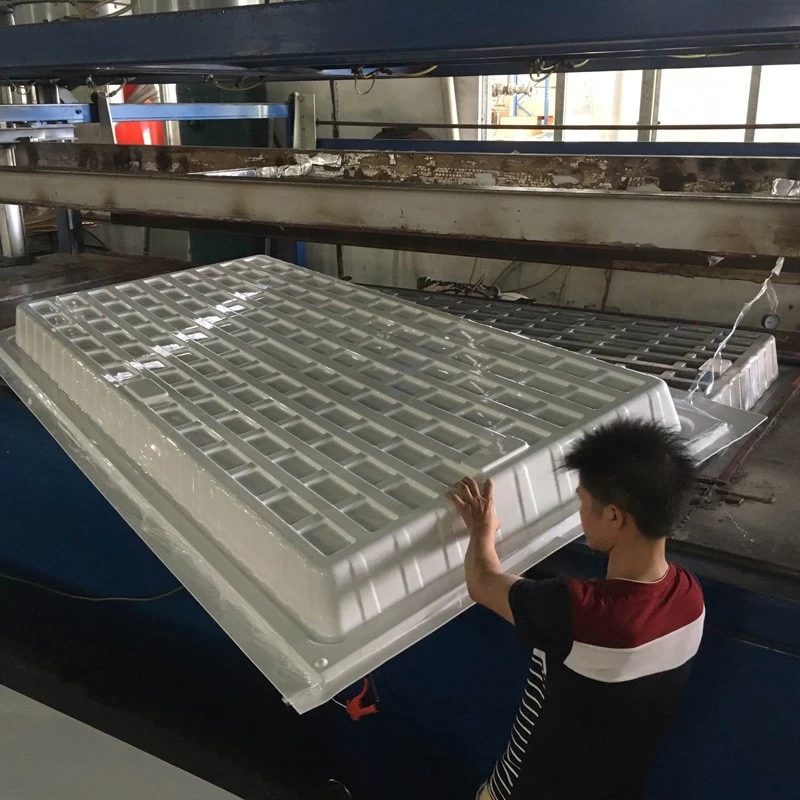 China Black White ABS HIPS Plastic 3x3 4x4 4x8 Hydro Fodder Flood and Drain Table manufacturer