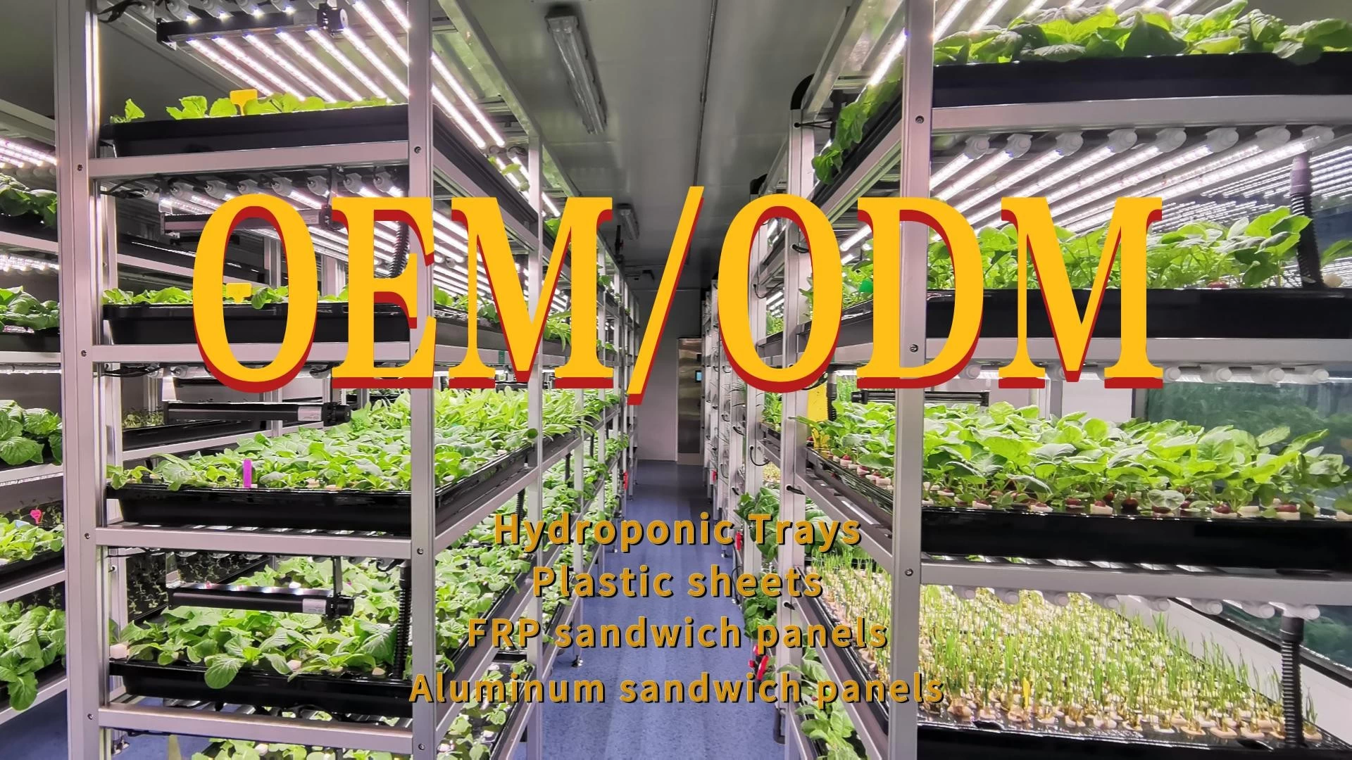 Professional manufacturer of Hydroponic trays and plastic panels