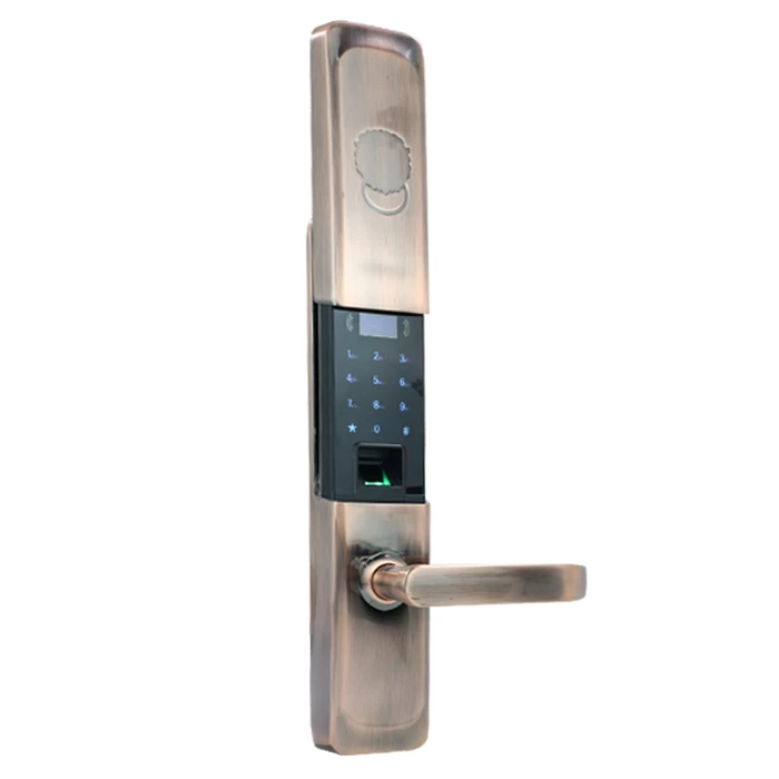 2020 Latest Design Luxury Style Semi-automatic anti theft Fingerprint Smart Lock DH8913
