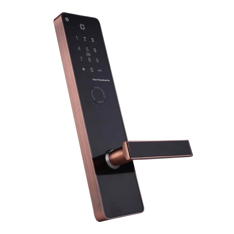 Electronic smart bluetooth APP keypad TT door lock