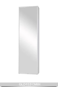 Wall mounted or hanging over the door mirrored makeup cabinet for bedroom bathroom and living room GLD15313