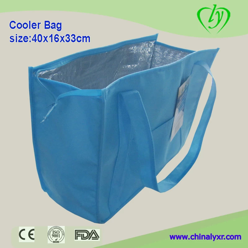 China Non-woven Cooler Lunch bag manufacturer