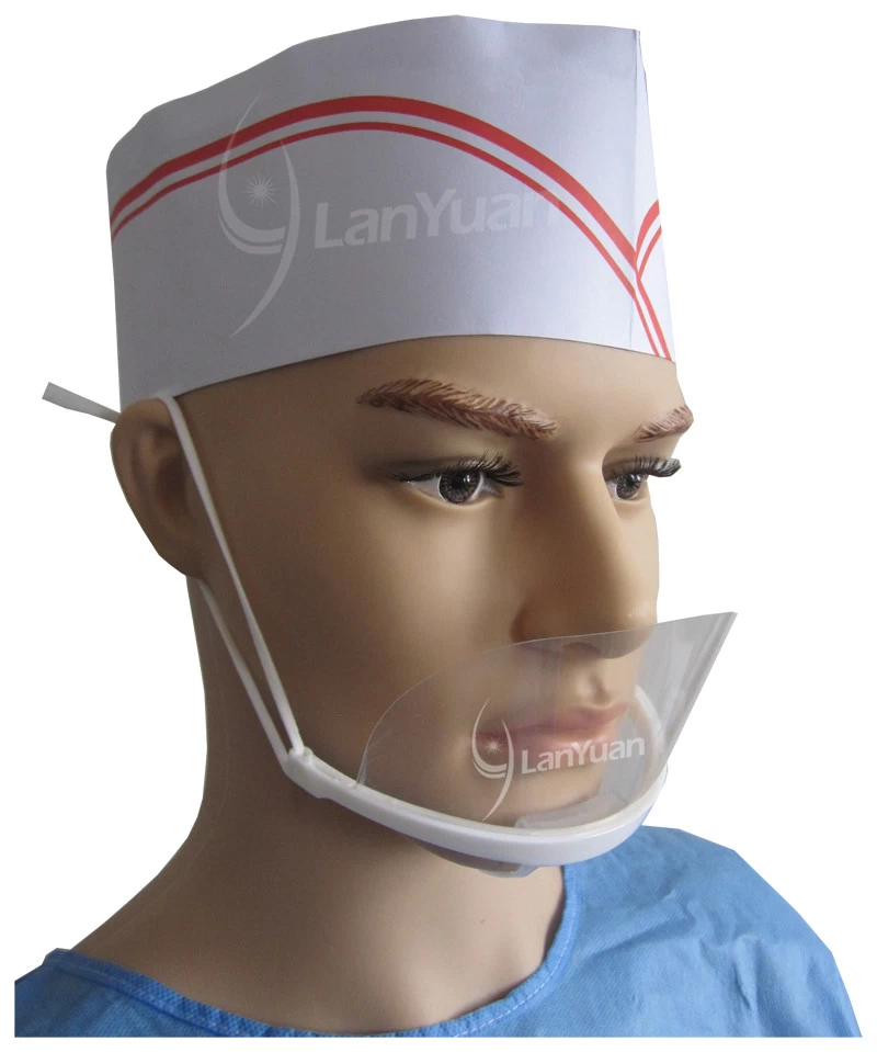 LY-A601 Anti-fog Hygiene Transparent Plastic Mask