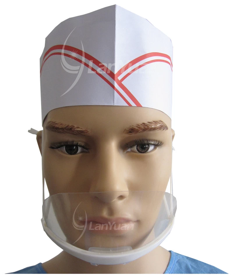 LY-A601 Anti-fog Hygiene Transparent Plastic Mask