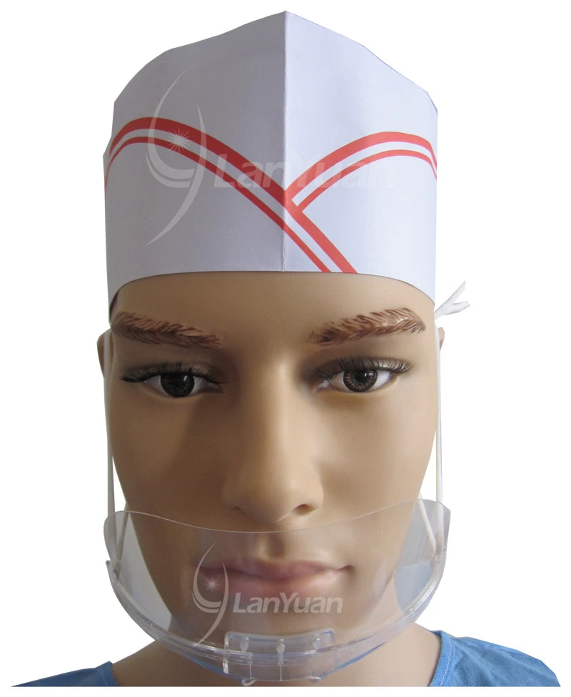 LY-E505 Anti-fog Hygiene Transparent Plastic Mask