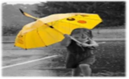 Ein Leben, ein Regenschirm