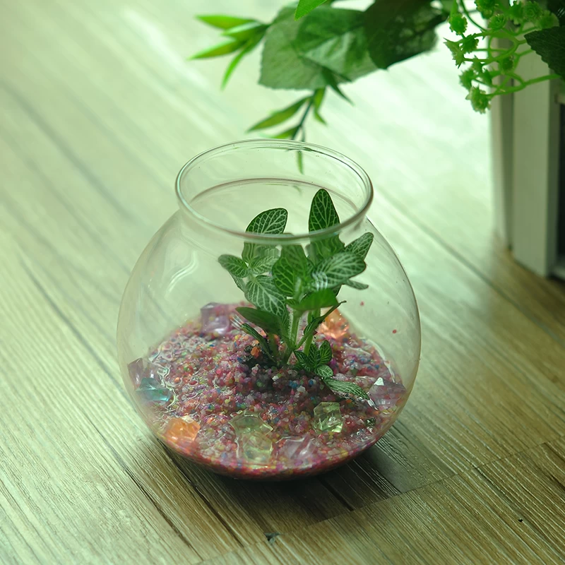 borosilicate glass fish tank