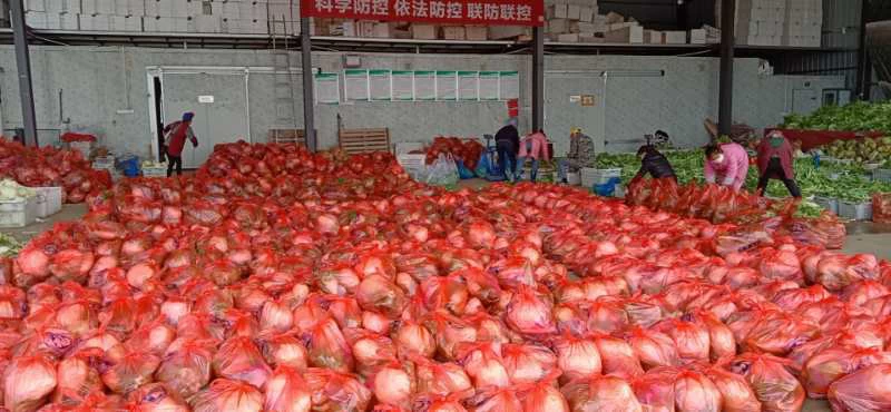Donation of fresh vegetables from Sunny Glassware had arrived in Wuhan